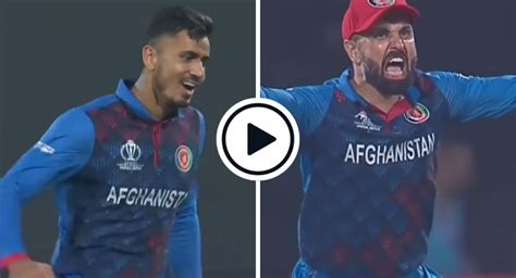 england vs afghanistan cricket highlights
